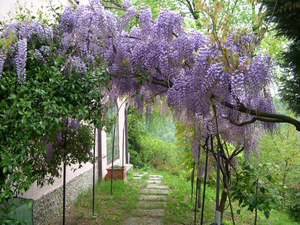 B&B Four Winds Follina Εξωτερικό φωτογραφία